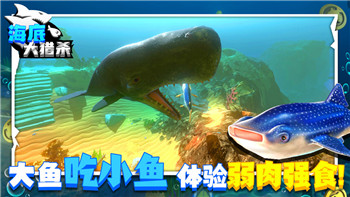 盐和避难所 地图顺序分析与策略指南：深入探索游戏世界中的地理布局与玩法技巧