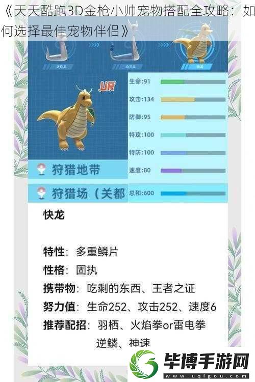 天天酷跑3D金枪小帅宠物搭配全攻略：如何选择最佳宠物伴侣 