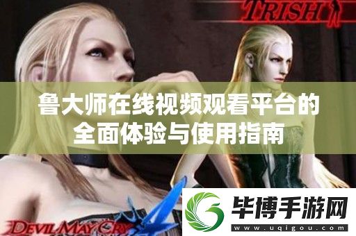 鲁大师在线视频观看平台的全面体验与使用指南 