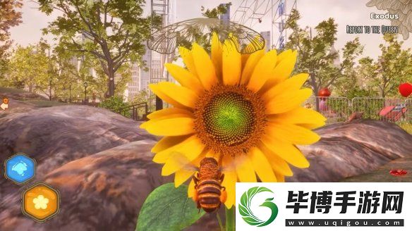 蜜蜂模拟器官宣登陆Switch！2025年晚些时候发售
