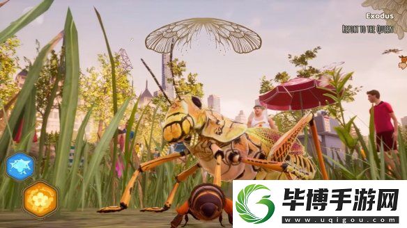 蜜蜂模拟器官宣登陆Switch！2025年晚些时候发售