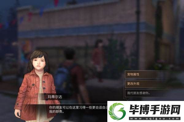 明日方舟流浪动物救助捐赠：为小生命点燃希望的火花 