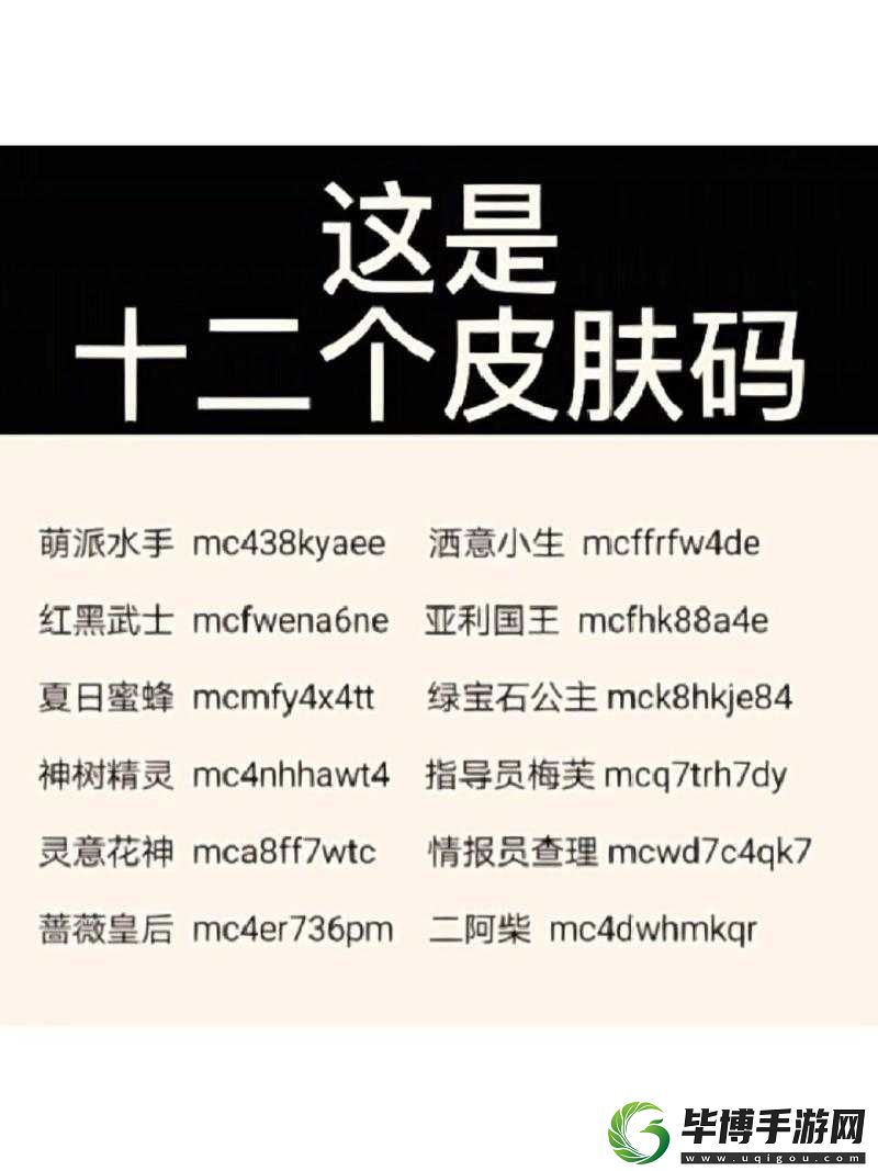 我的侠客兑换码口令码大全何处寻