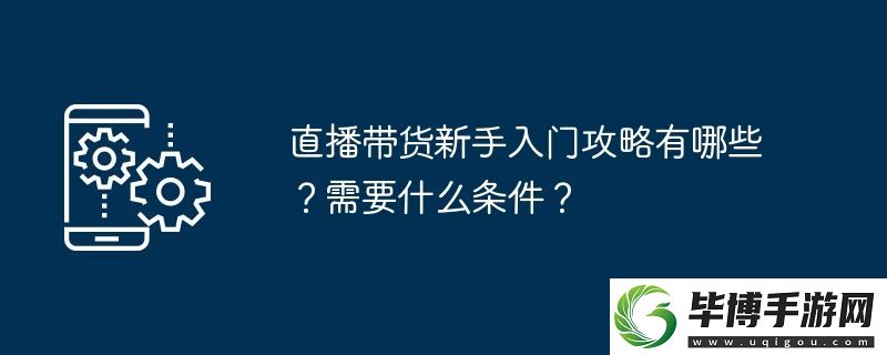 直播带货新手入门攻略有哪些