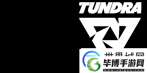 Spirit击败了Tundra