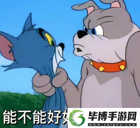 这是可以说的吗‍是什么梗络用语