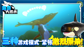 《魔兽世界》塞兹仙林《迷雾尾王》战斗攻略详解！